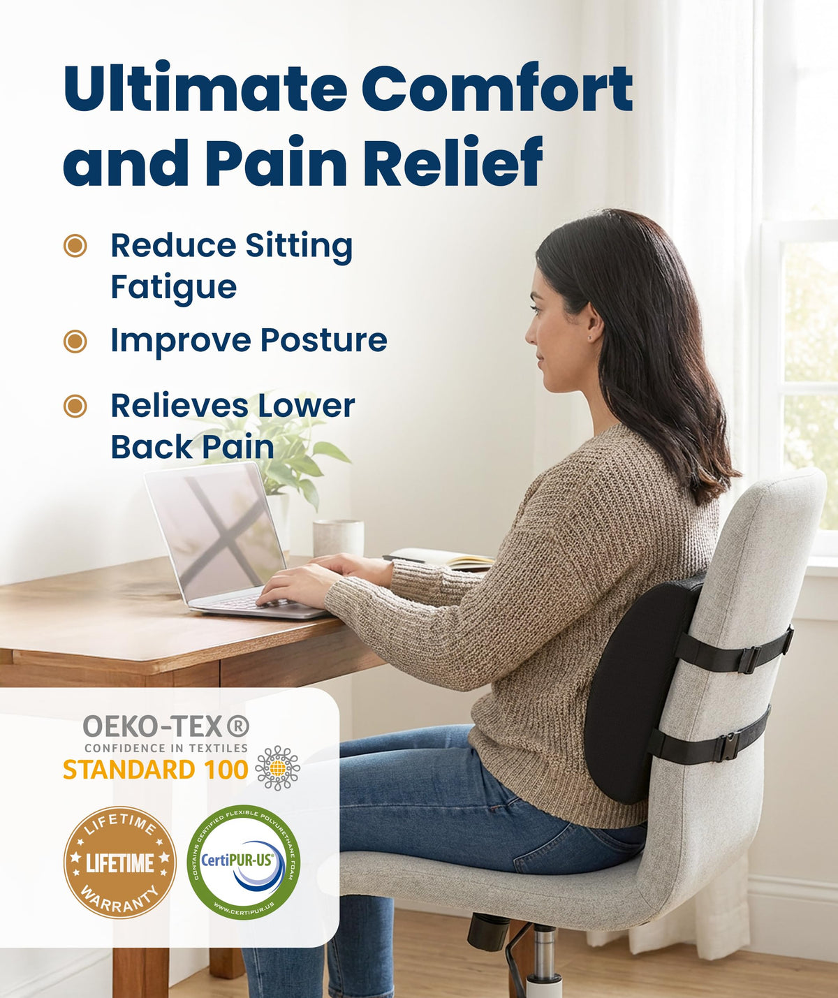 Everlasting Comfort Memory Foam Lumbar Support Pillow