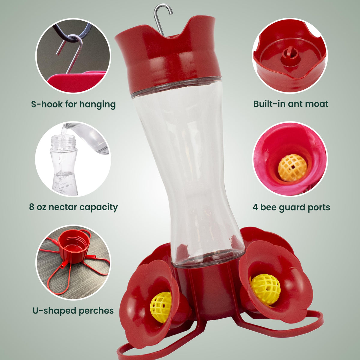 Perky-Pet 203CPBN Glass Hummingbird Feeders, 8 oz, 2-Pack