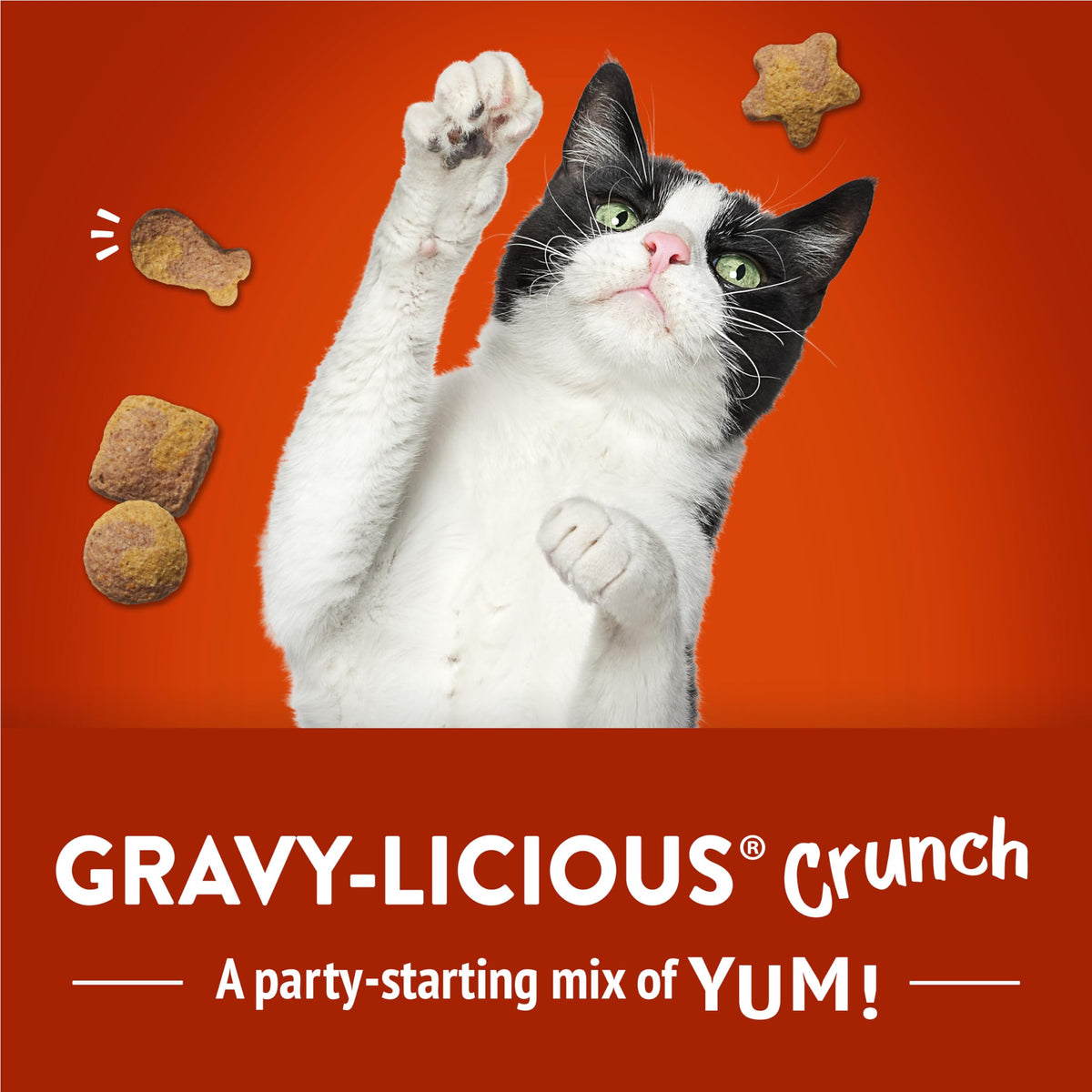 Friskies Party Mix Cat Treats, Crunch Chicken, 510 g, 3 Pack