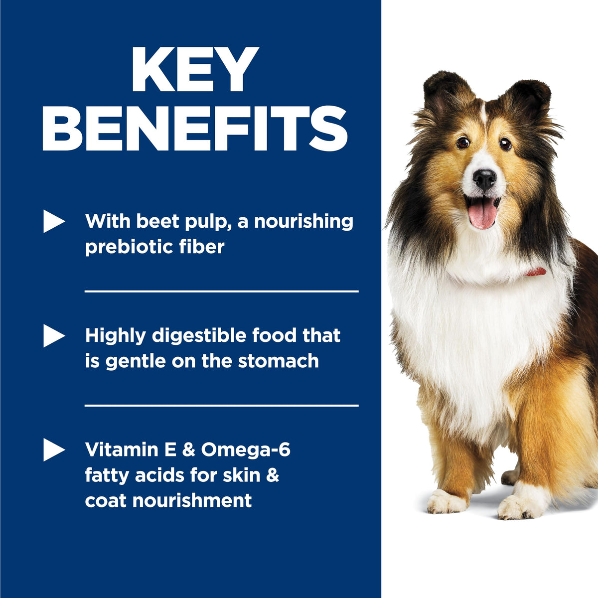 Hill's Science Diet Adult Sensitive Stomach & Skin Dog Food, 1.81 kg