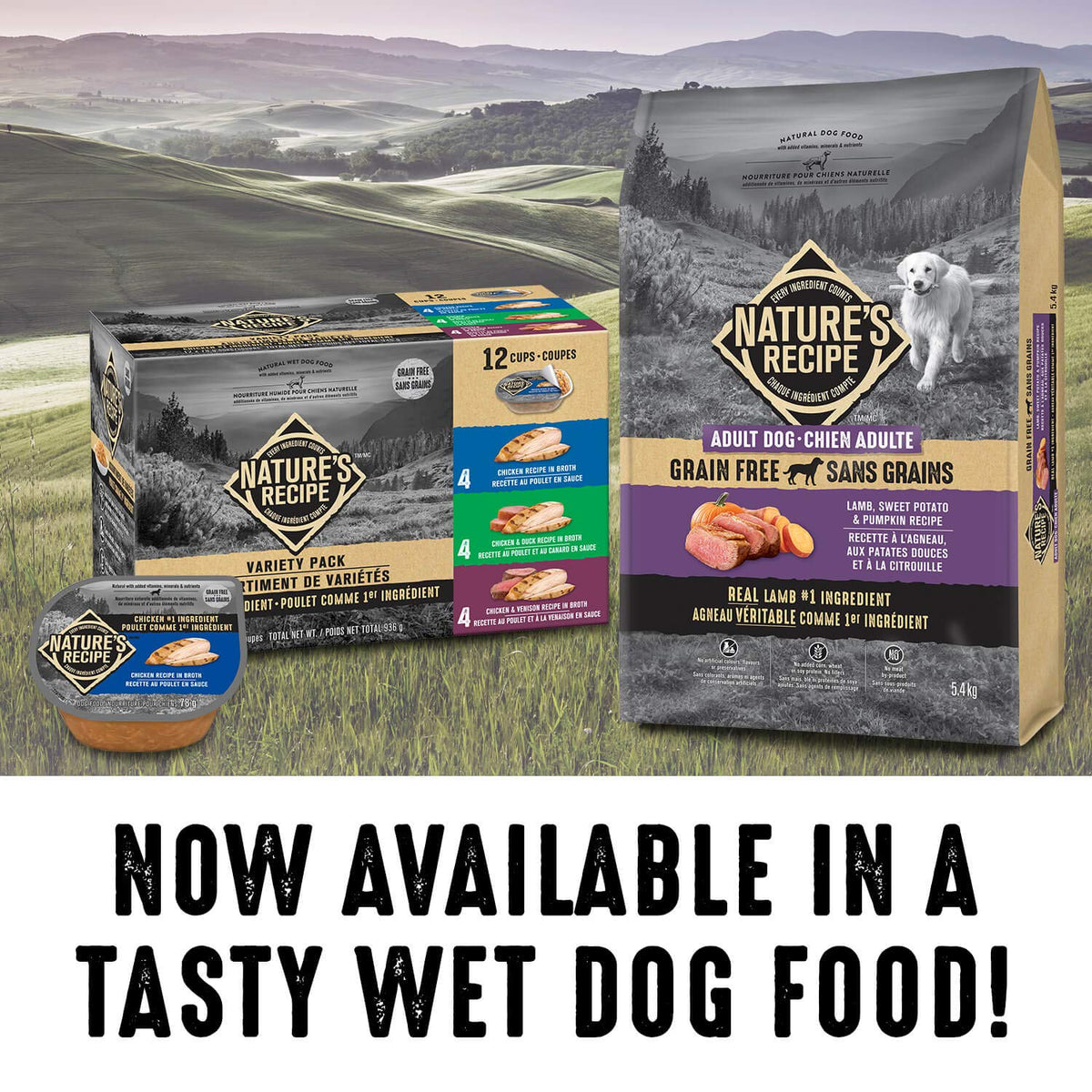 Nature's Recipe Adult Grain-Free Dog Food, Lamb, Sweet Potato, 10.8kg