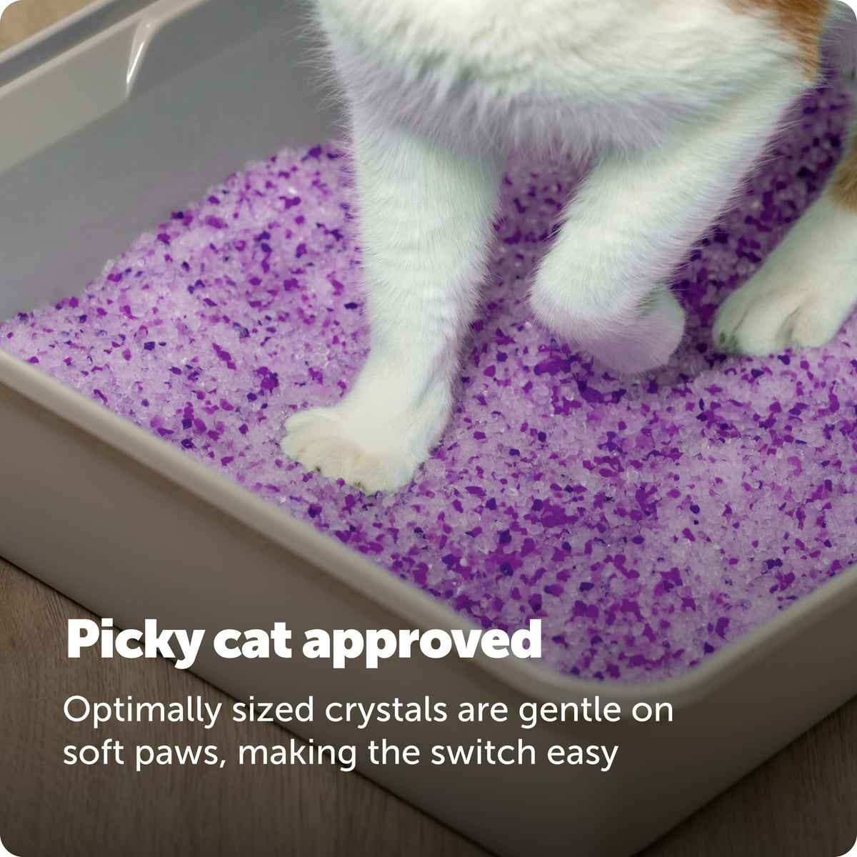 PetSafe ScoopFree Lavender Crystal Cat Litter, 2 x 4.3 lb