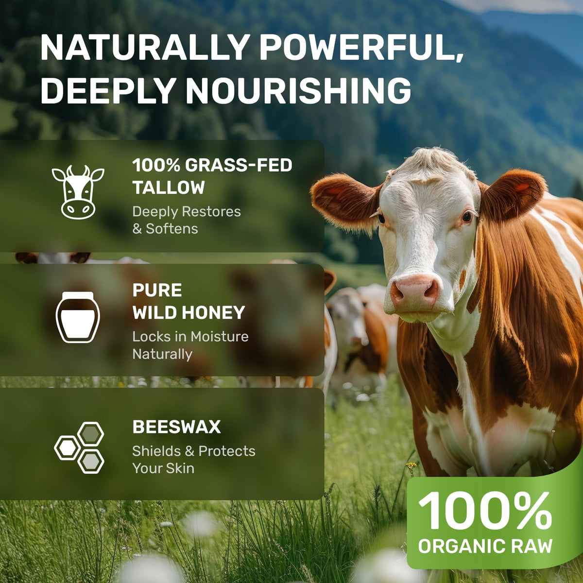 Grass-Fed Whipped Beef Tallow & Honey Face Cream