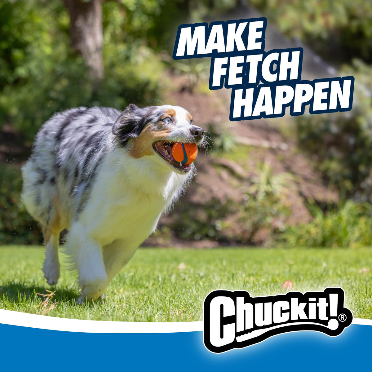 Chuckit! Fetch Medley Dog Balls, Medium, 3-Pack