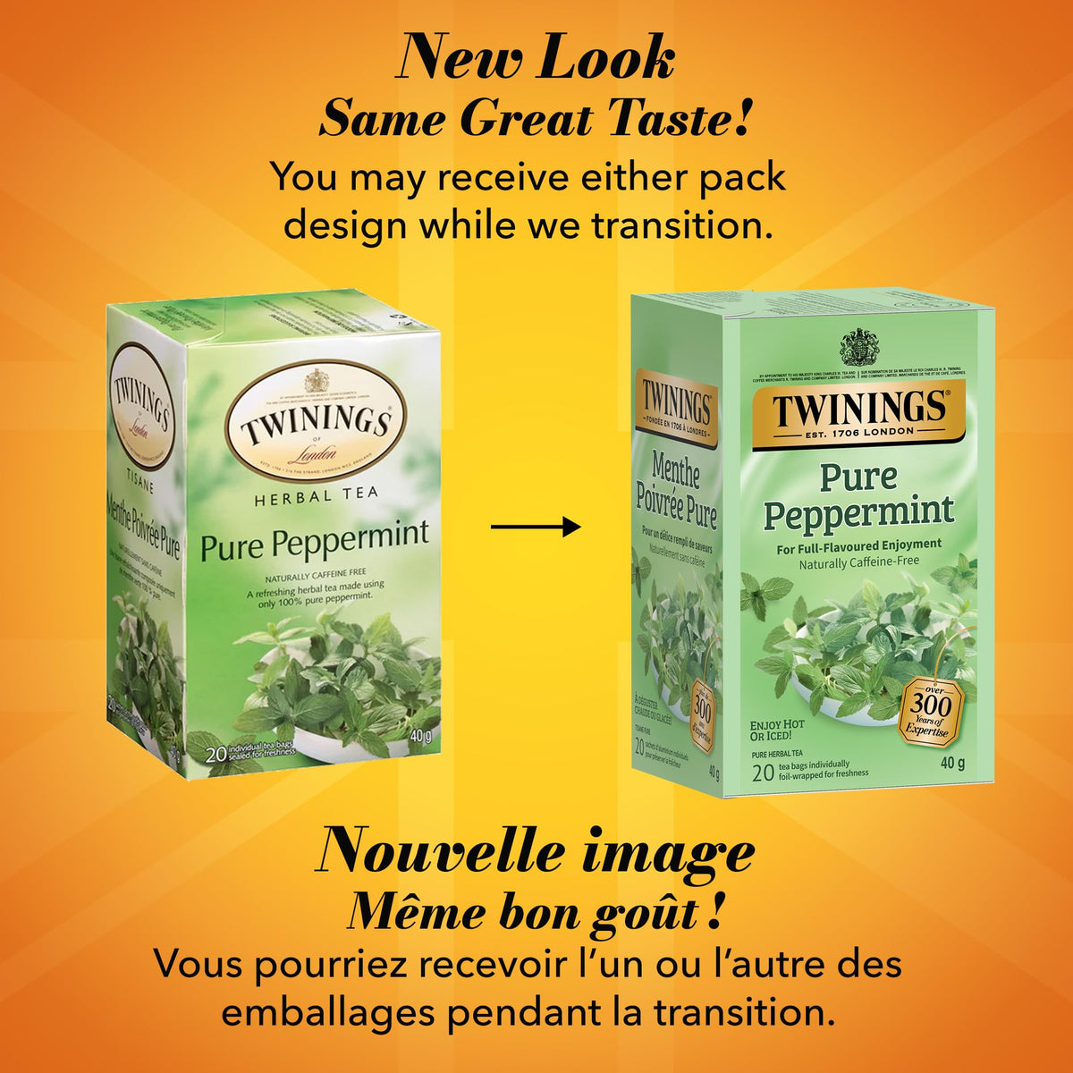 Twinings Pure Peppermint Herbal Tea, 6 x 20 Bags