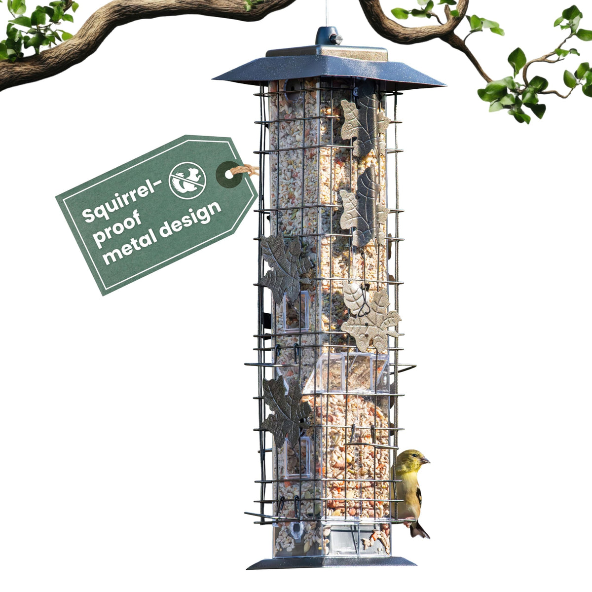 Perky-Pet 336-1SR Squirrel-Be-Gone Bird Feeder, 2 lb