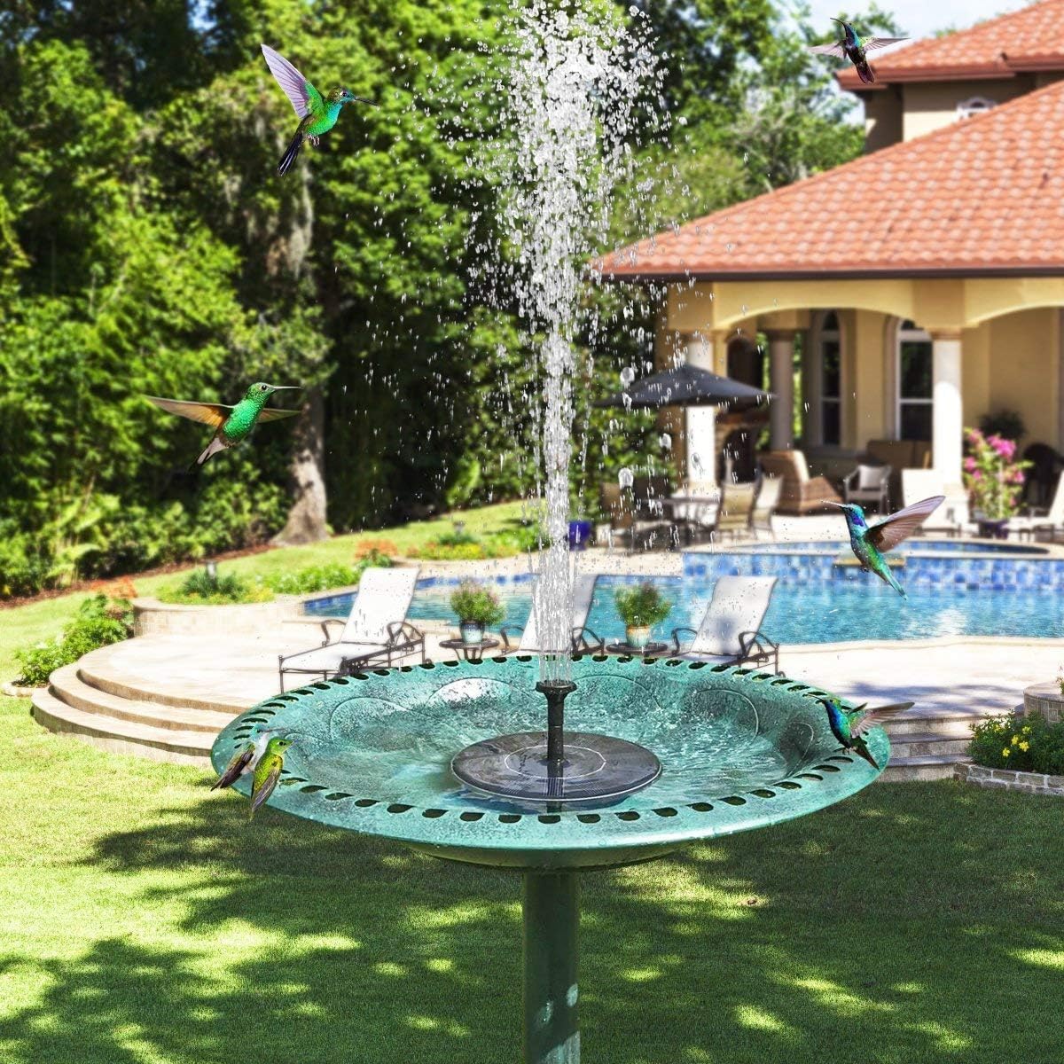 Solar Fountain Water Pump for Bird Bath, 1.5W