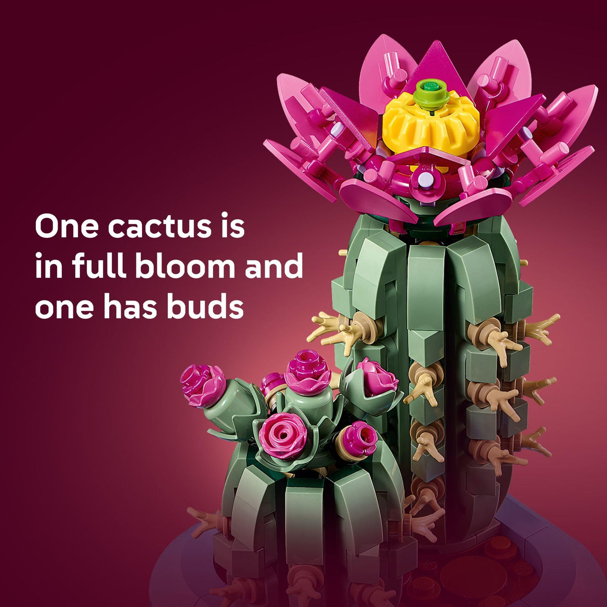LEGO Botanicals Flowering Cactus Building Set, 11509