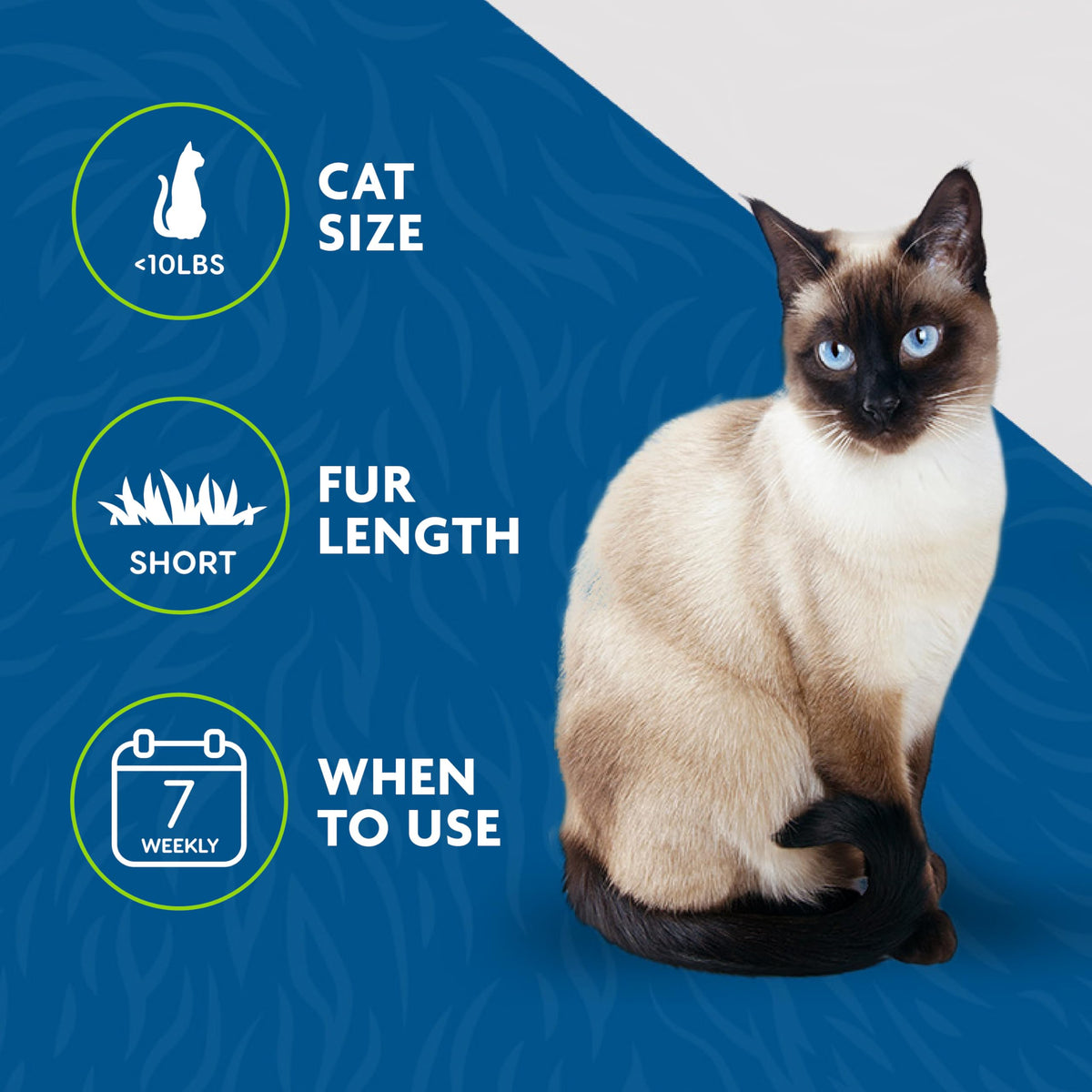 FURminator Short Hair deShedding Tool for Cats, Small