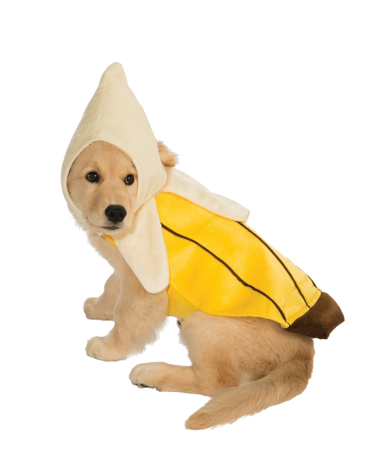 Rubies Halloween Classics Pet Costume, Medium, Banana
