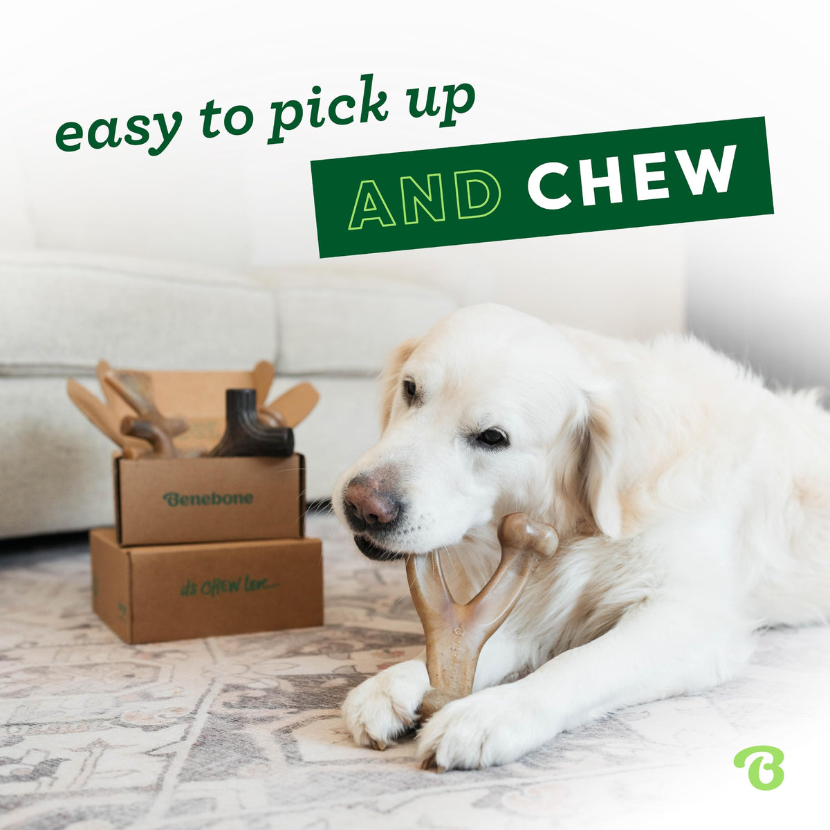 Benebone Durable Dog Chew Toys, Medium, 4-Pack