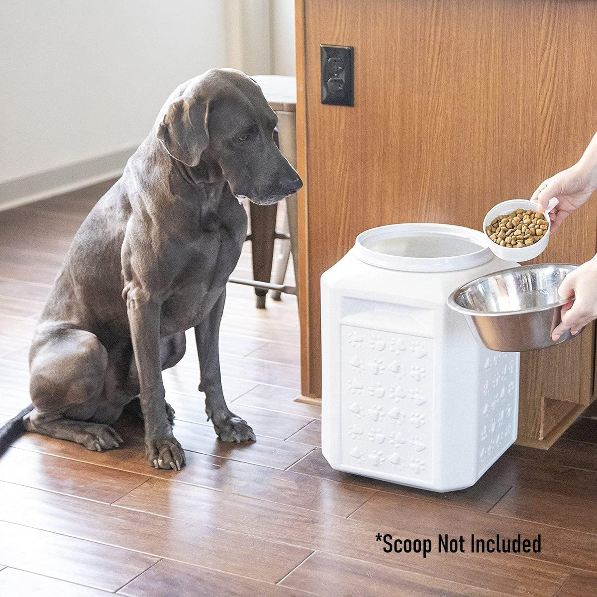 Gamma2 Vittles Vault Dog Food Storage Container, Holds up to 35 pounds