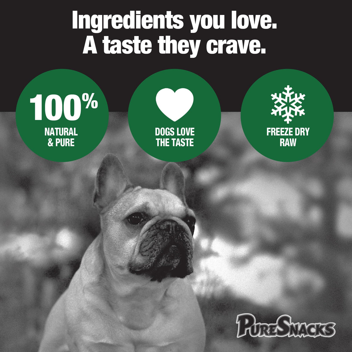 PureSnacks Freeze Dried Beef Liver Dog Treats, 410 g
