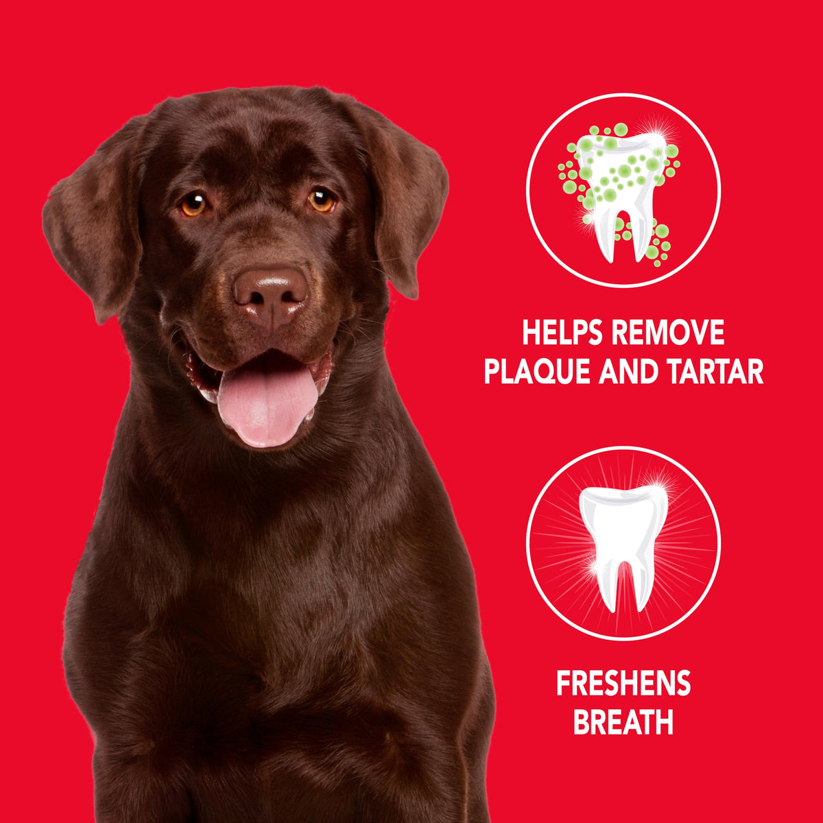 Petrodex Enzymatic Toothpaste for Dogs, Poultry Flavour, 6.2oz