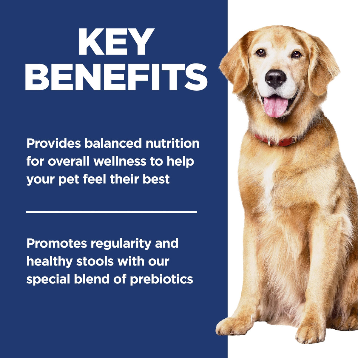 Hill's Science Diet Adult 7+ Perfect Digestion Dry Dog Food, 10.0 kg