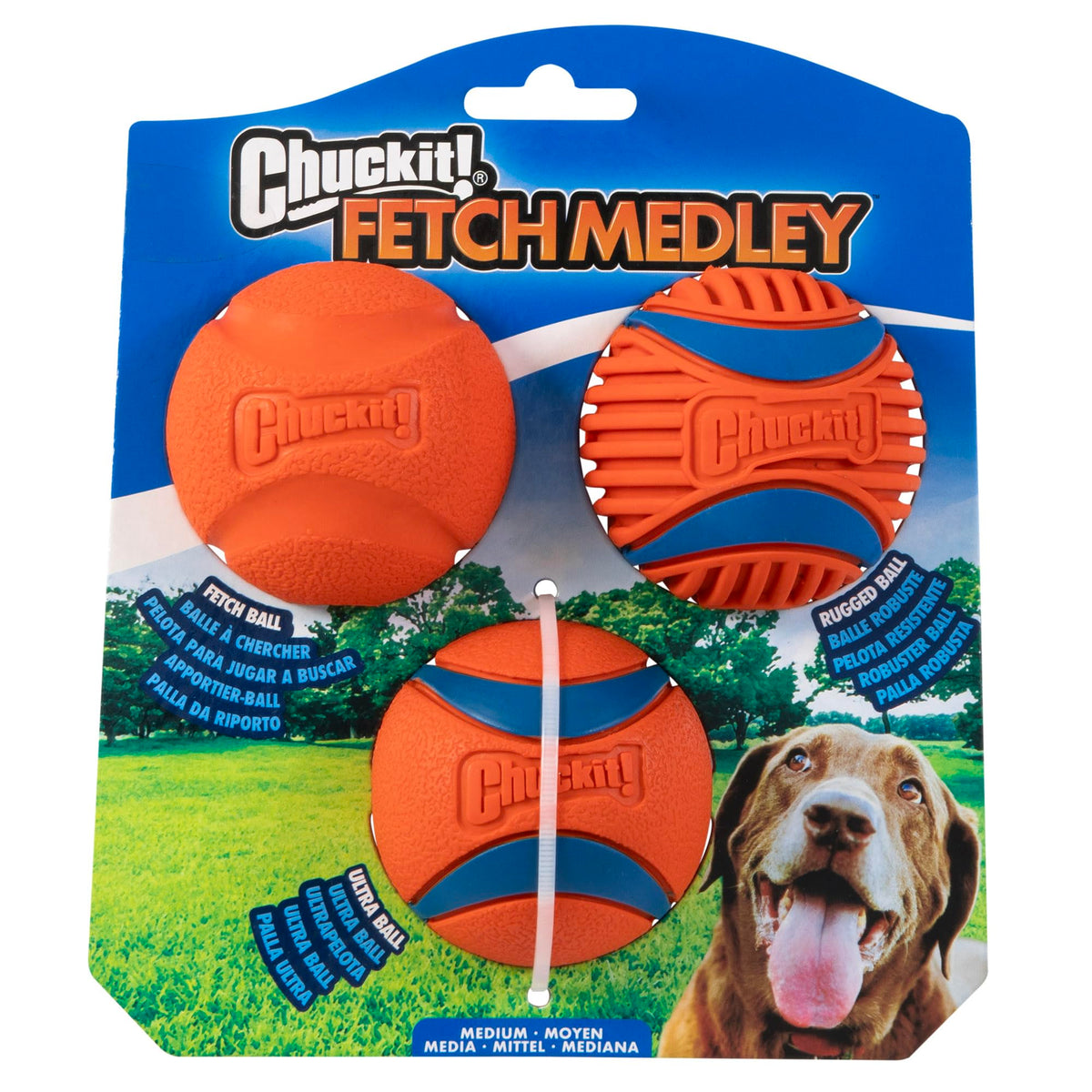 Chuckit! Fetch Medley Dog Balls, Medium, 3-Pack