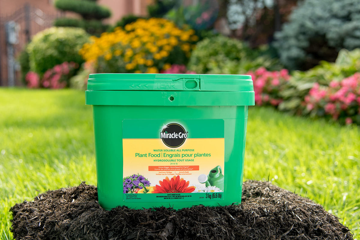 Miracle-Gro Water Soluble All Purpose Plant Food, 3 kg