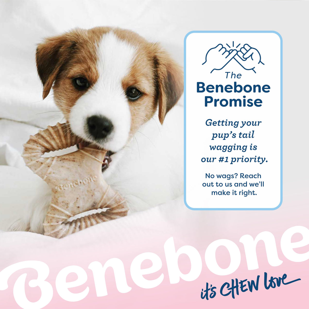 Benebone Puppy Dental Chew Toys, Real Bacon, 2 Pack