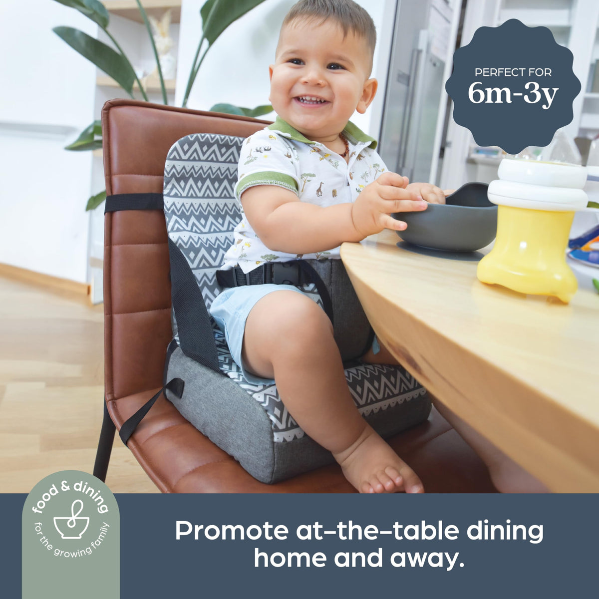Dreambaby Grab 'n Go Booster Seat with Adjustable Securing Straps