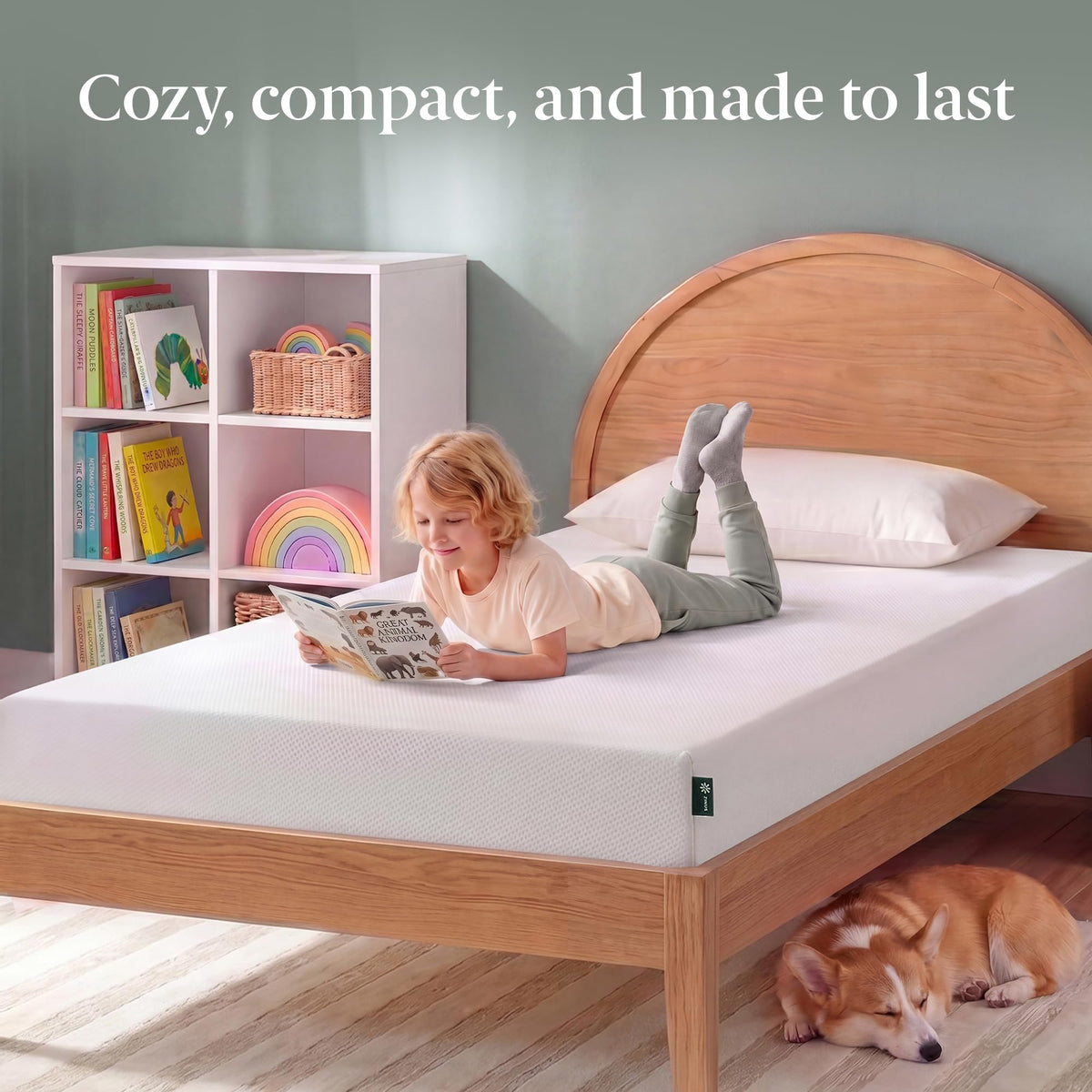 Zinus 6 Inch Green Tea Memory Foam Mattress, Twin