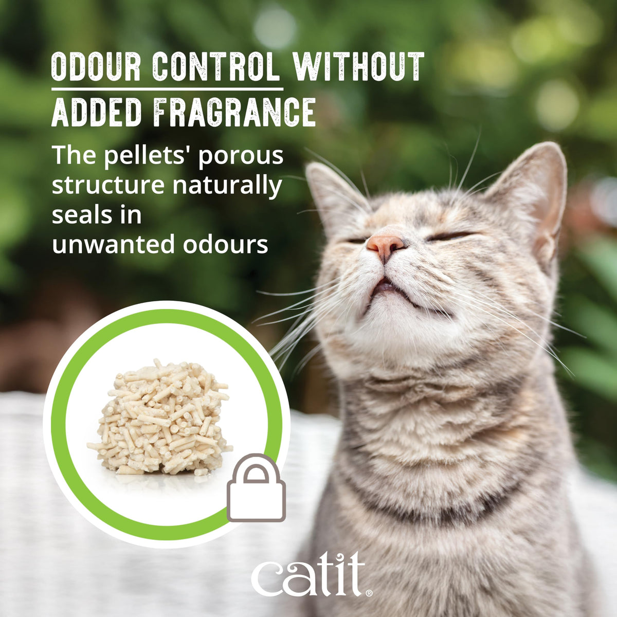Catit Go Natural Pea Husk Clumping Cat Litter, Unscented, 5.6 kg