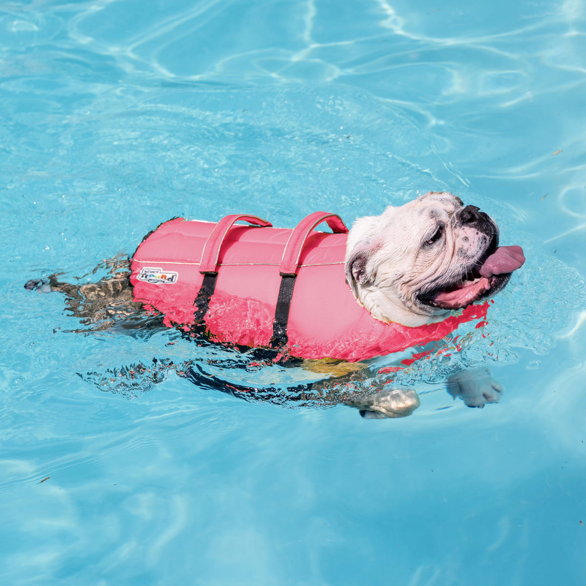 Outward Hound Granby Splash Dog Life Jacket, Small, Pink