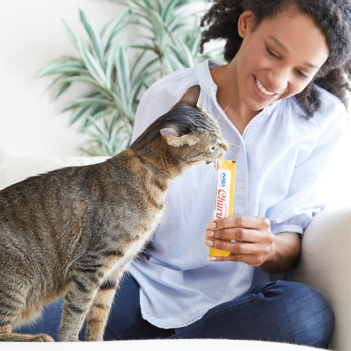INABA Churu Lickable Cat Treats, Tuna & Chicken Variety, 50 Tubes