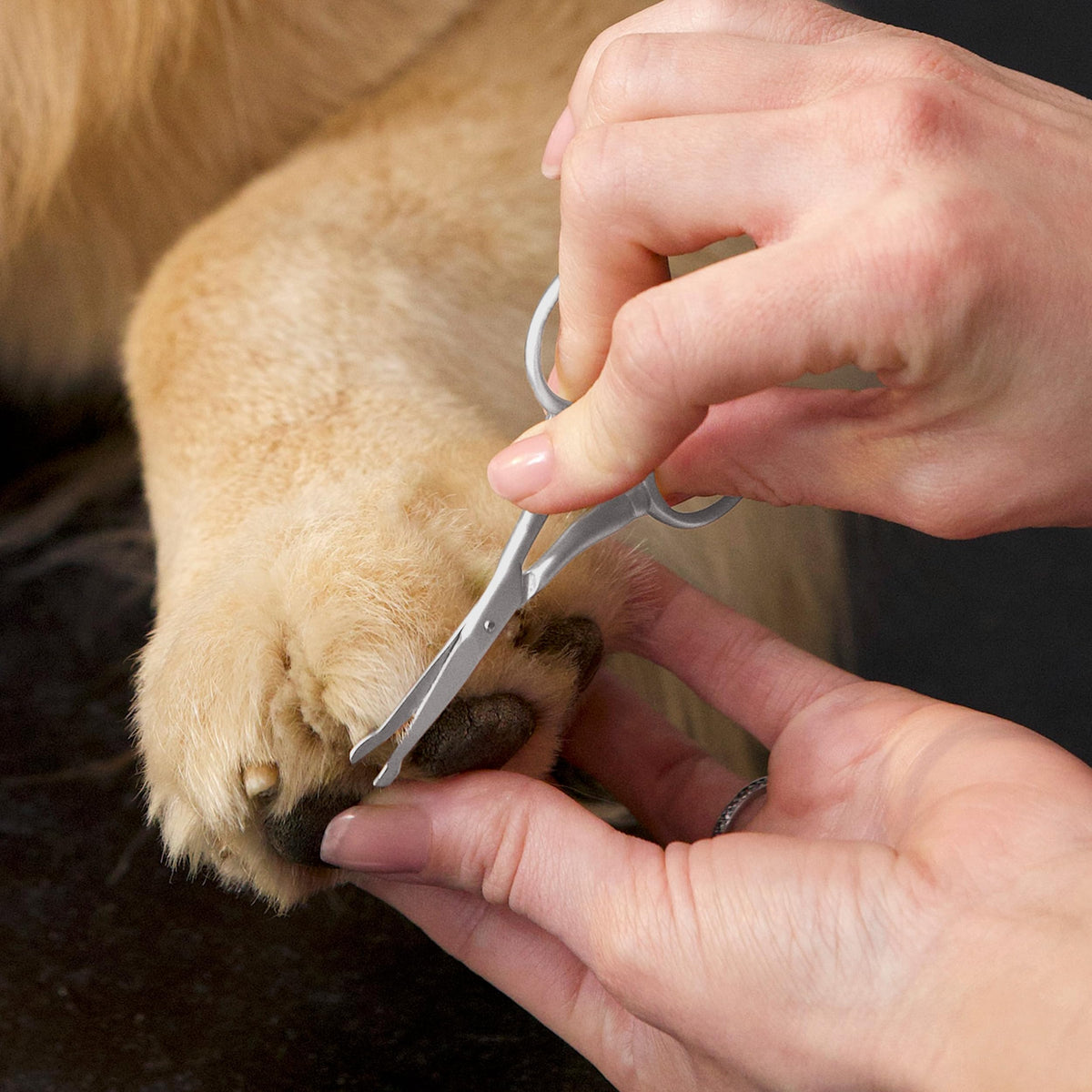 Tweezerman Dog and Cat Safety Tip Grooming Scissors, Stainless Steel