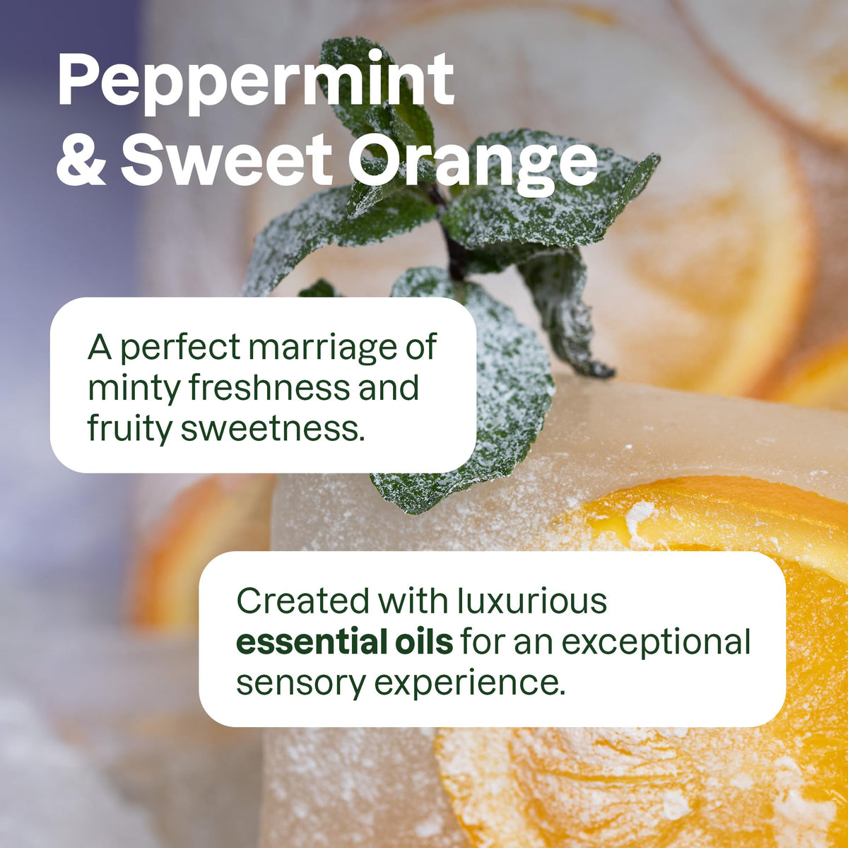Attitude Hand Soap Bulk Refill, Peppermint and Sweet Orange, 2L