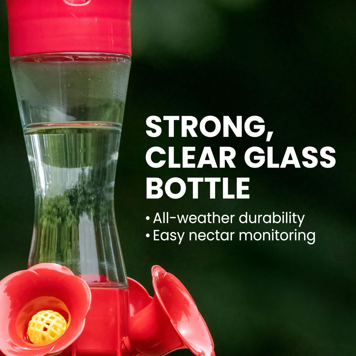 Perky-Pet 203CPBN Glass Hummingbird Feeders, 8 oz, 2-Pack