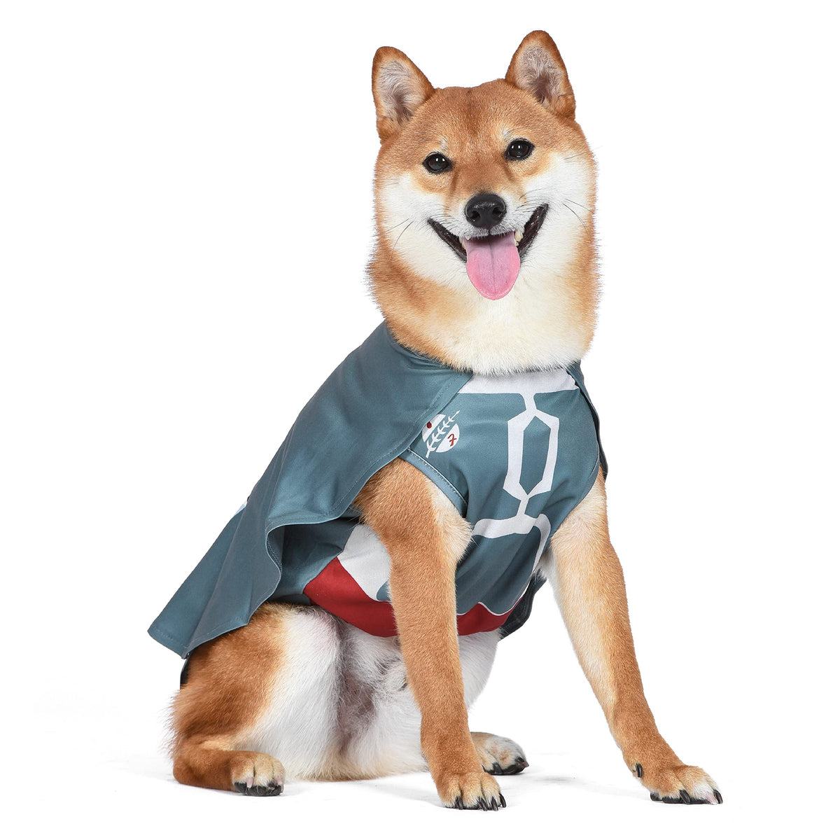 Star Wars for Pets Boba Fett Dog Costume, Size Large