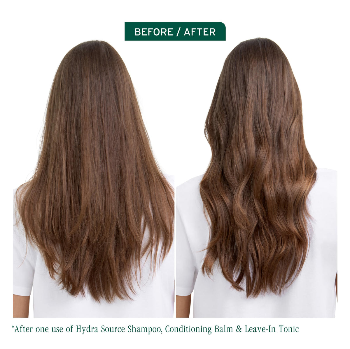 Biolage HydraSource Hydrating Shampoo for Dry Hair
