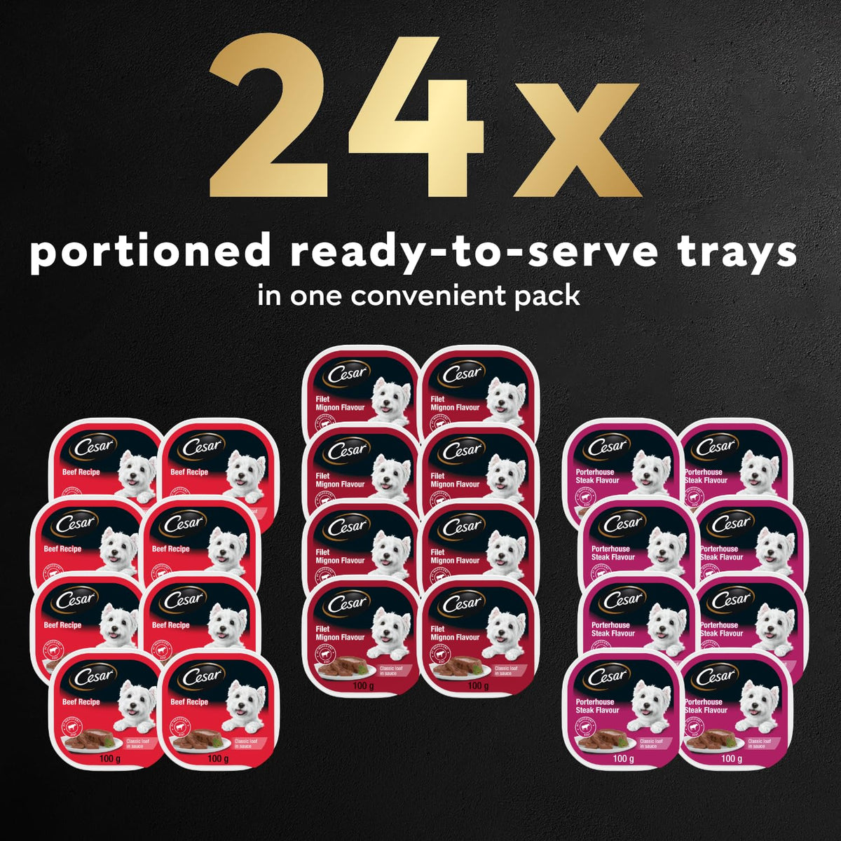 CESAR Classic Loaf in Sauce Dog Food, Beef Selects Variety, 24 x 100 g