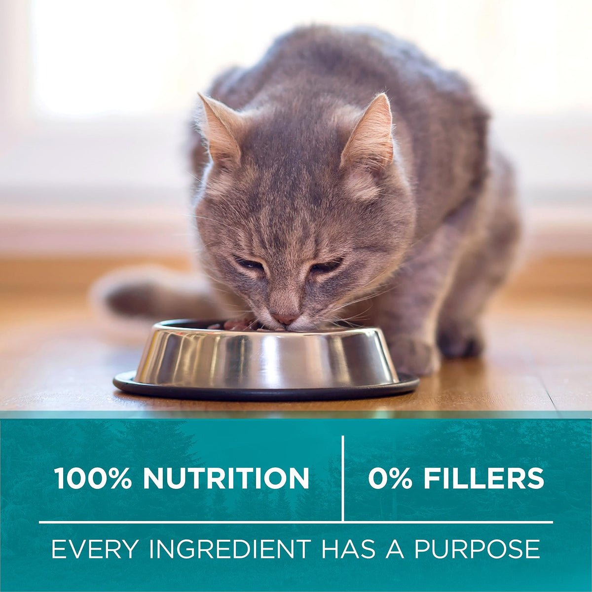 Purina ONE True Instinct Grain Free Dry Cat Food, Chicken, 6.53 kg