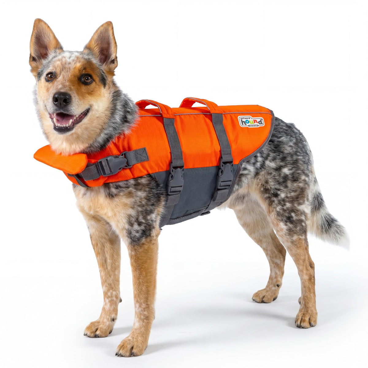 Outward Hound Granby Splash Dog Life Jacket, Orange, Medium