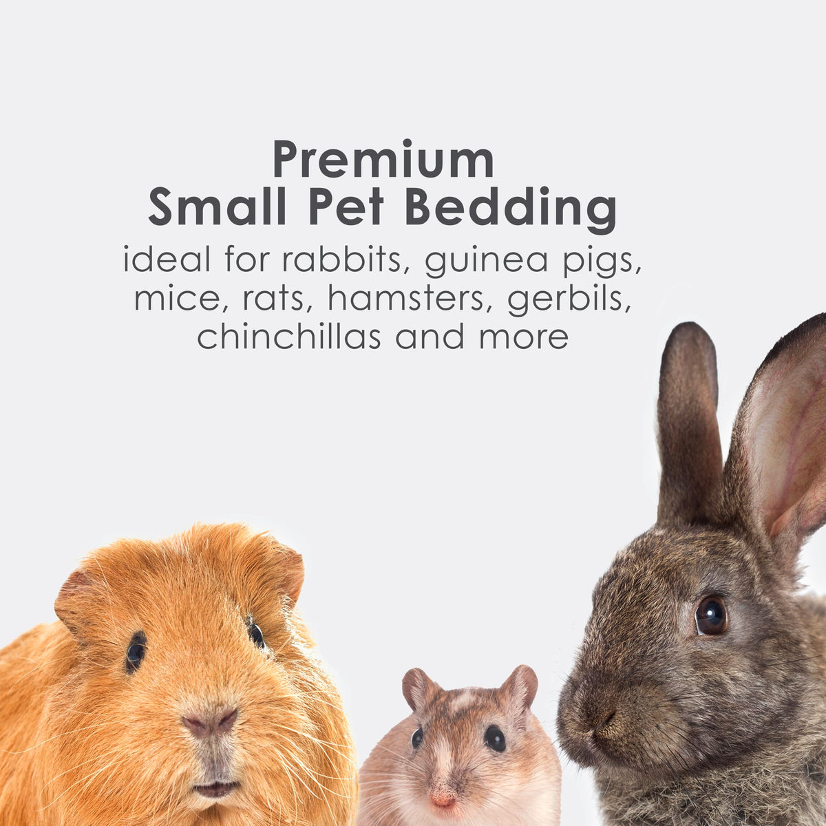 Kaytee Clean & Cozy Natural Small Animal Bedding, 49.2L