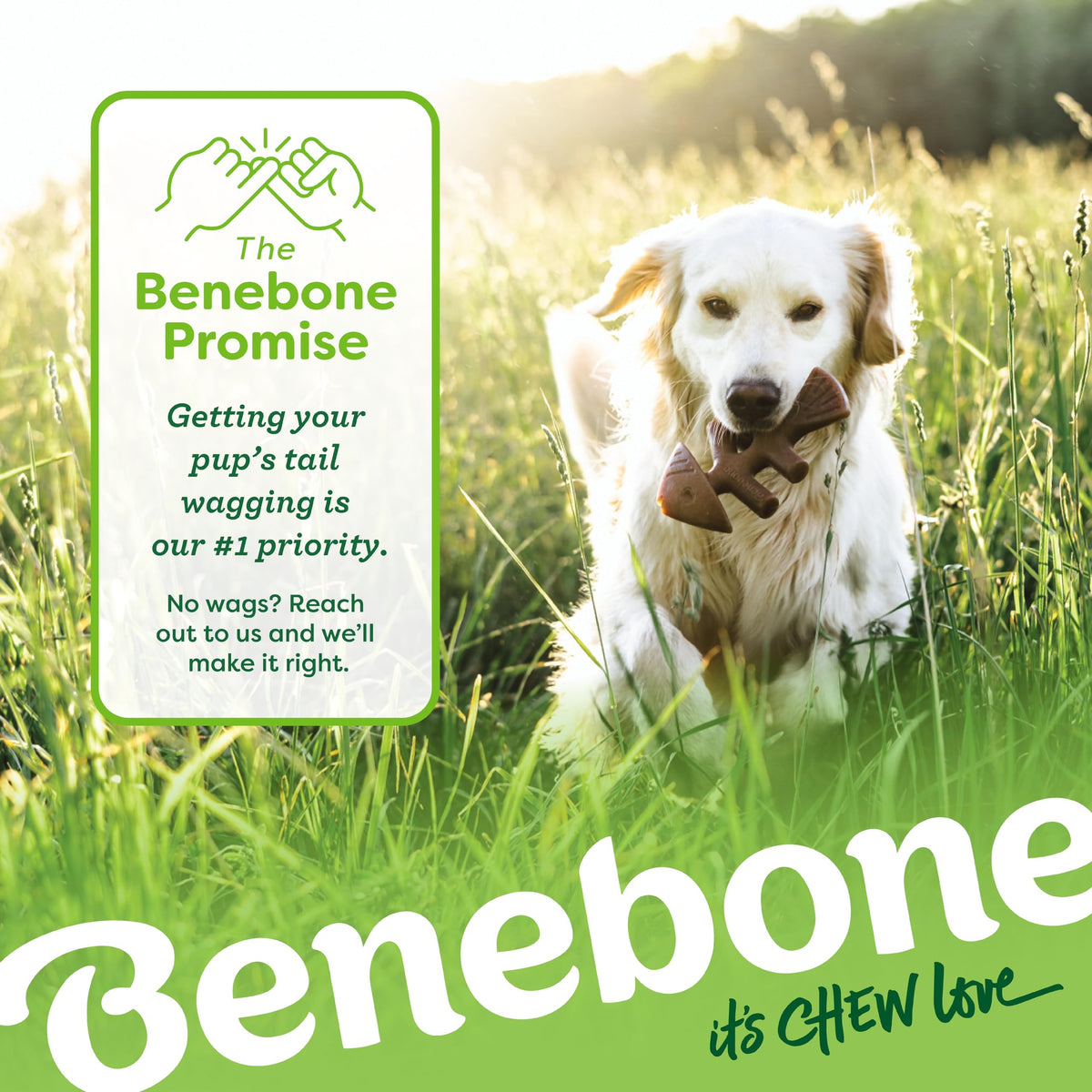 Benebone Durable Dog Chew Toys, Medium, 4-Pack