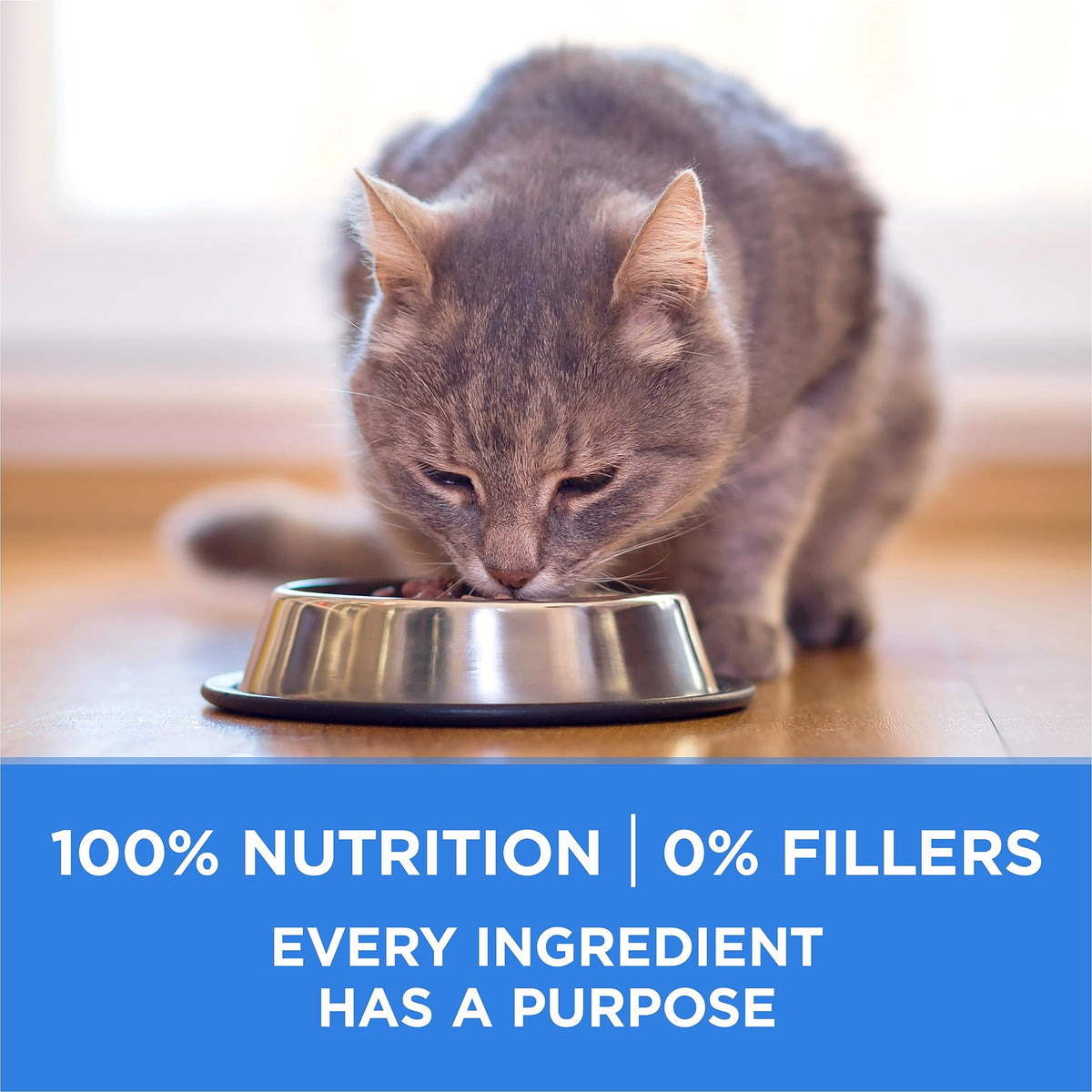 Purina ONE +Plus Urinary Tract Formula Chicken Dry Cat Food, 3 kg