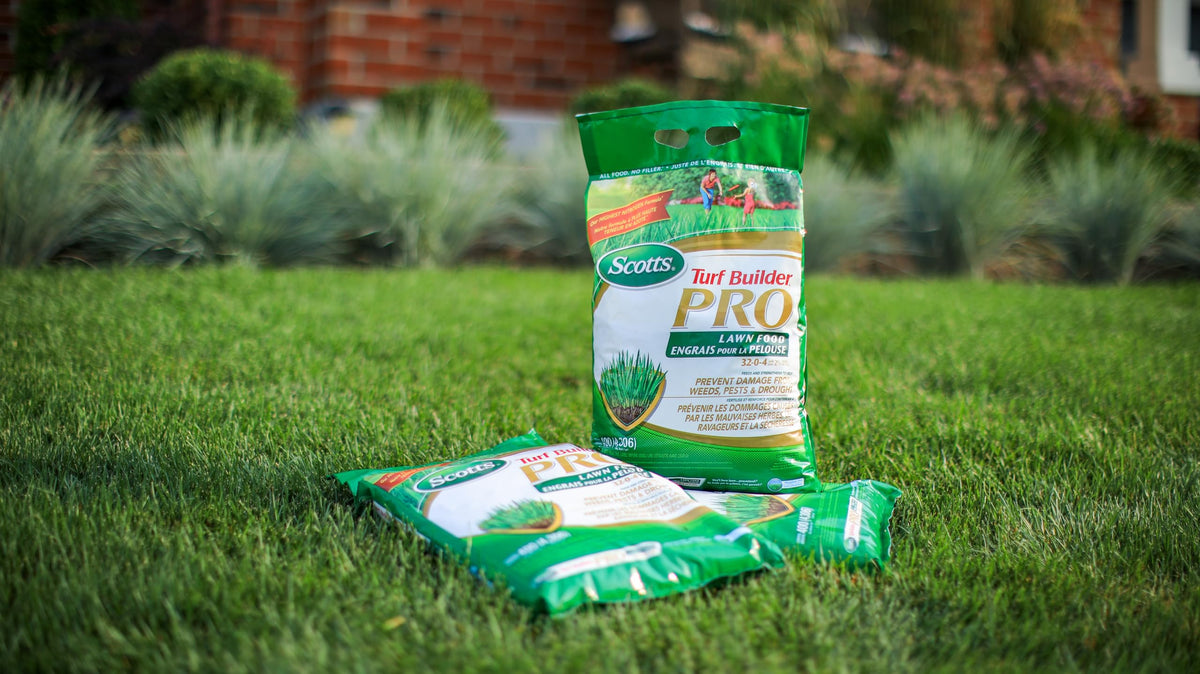 Scotts Turf Builder Pro Lawn Food 32-0-4, 5.2 kg