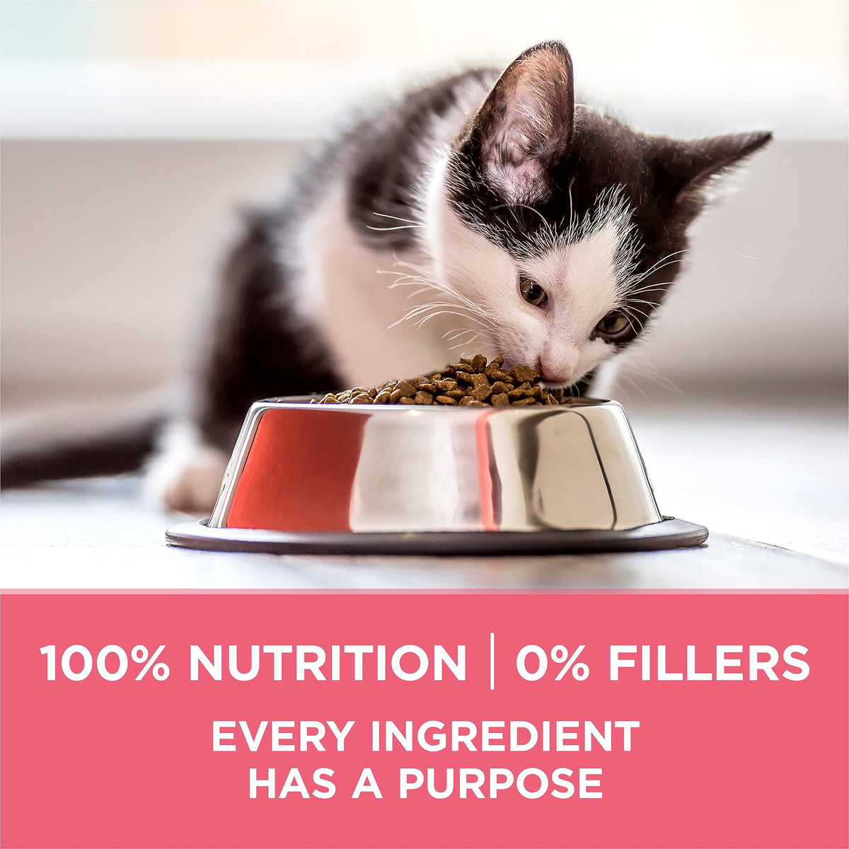 Purina ONE +Plus Healthy Kitten Dry Food, Chicken, 3 kg