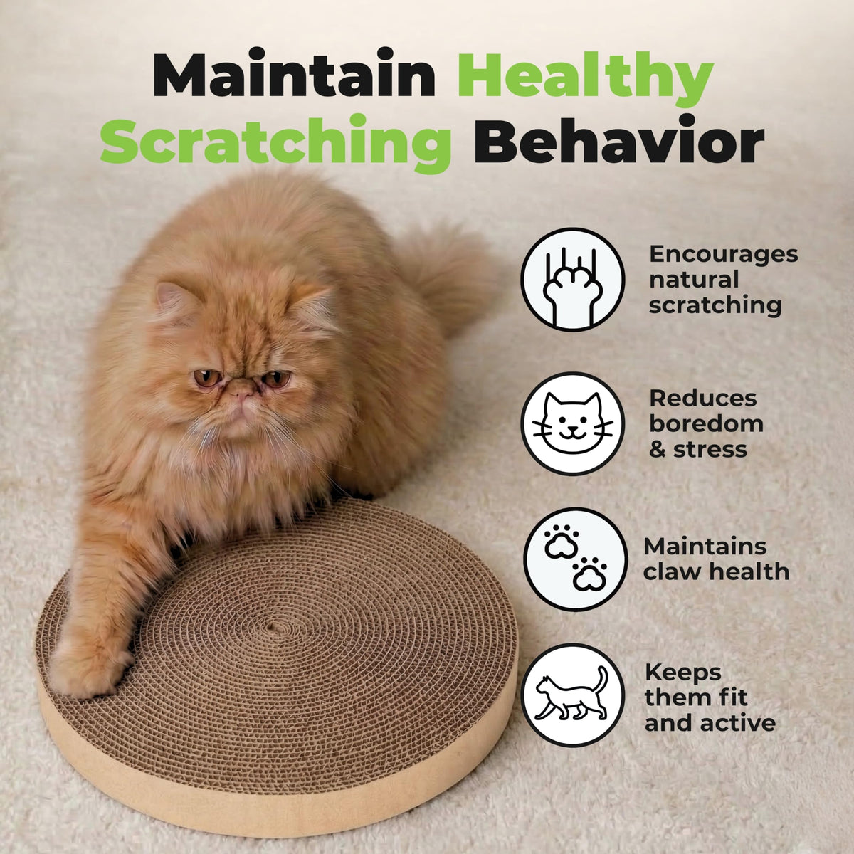 Best Pet Supplies Catify Spin and Scratch Replacement Pads, 5 Pack