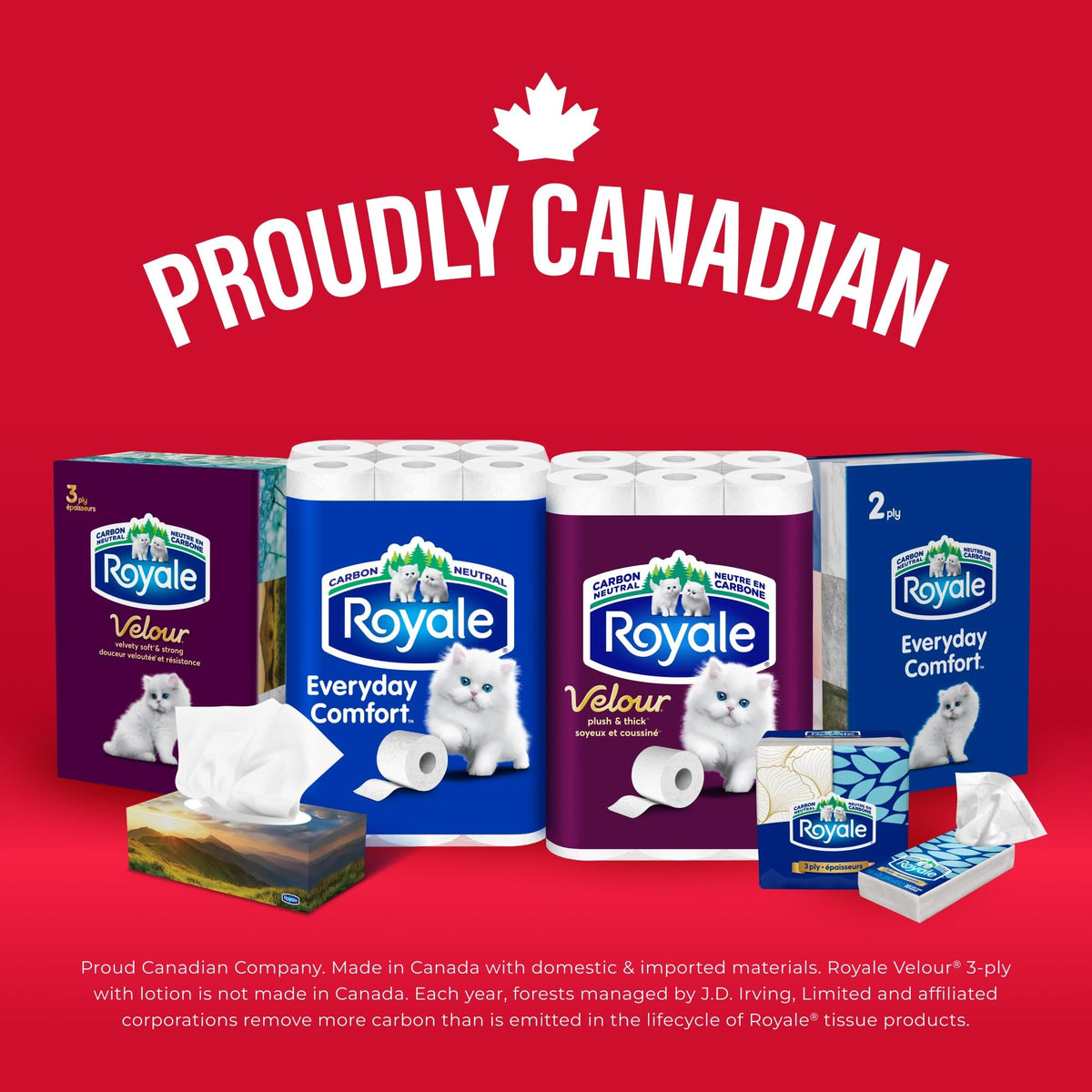 Royale Everyday Comfort 2-Ply Facial Tissue, 24 Boxes