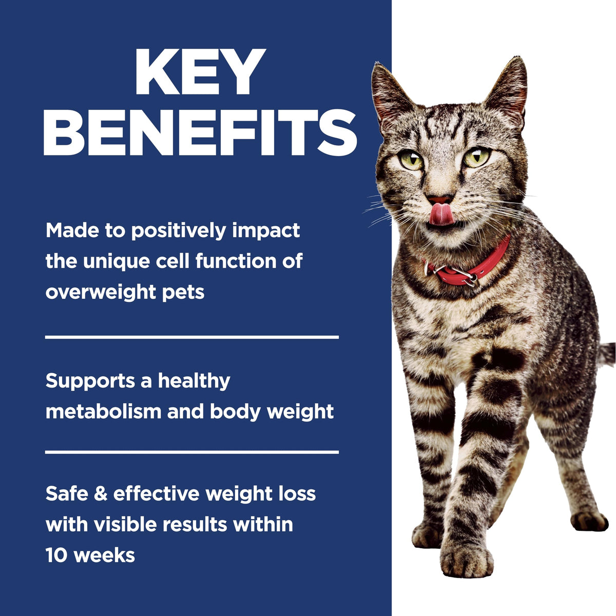 Hill's Science Diet Perfect Weight Adult Cat Food, Chicken, 1.36 kg