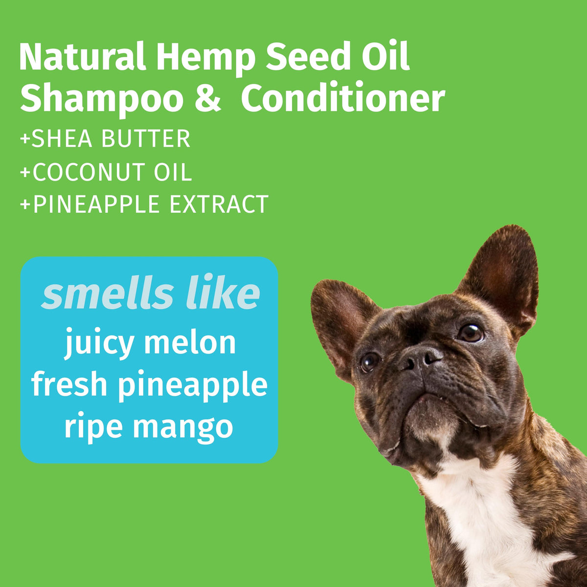 Hempz Petz Dog Shampoo & Conditioner, Pineapple Honey Melon, 17 fl. Oz