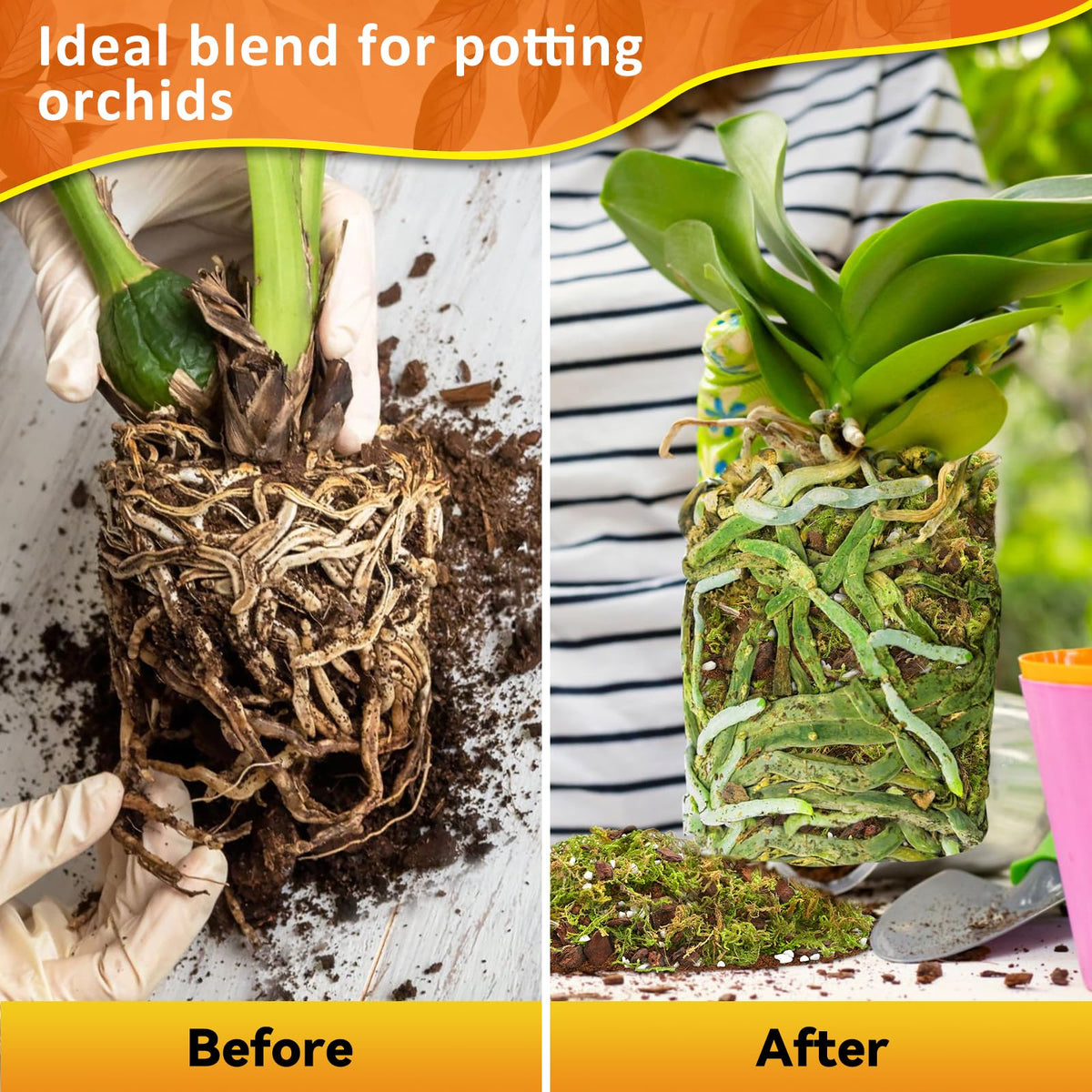 Riare Orchid Potting Mix with Moss, Pine Bark and Perlite, 2 L