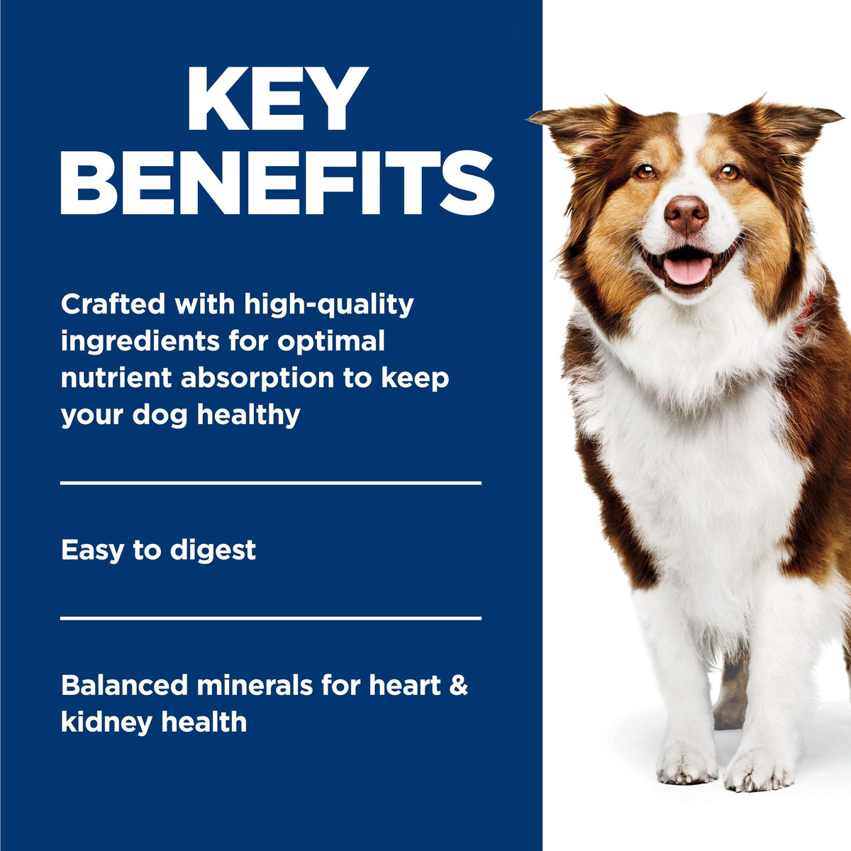 Hill's Science Diet Senior 7+ Canned Dog Food, Chicken & Barley, 12 Pk