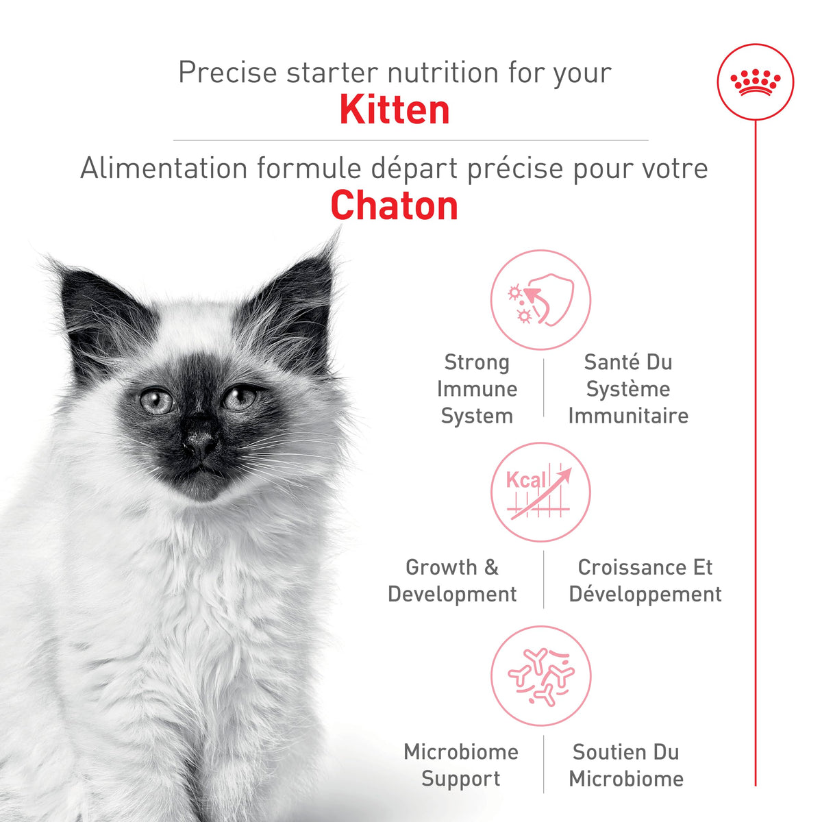 Royal Canin Feline Health Nutrition Dry Kitten Food, 14 lb
