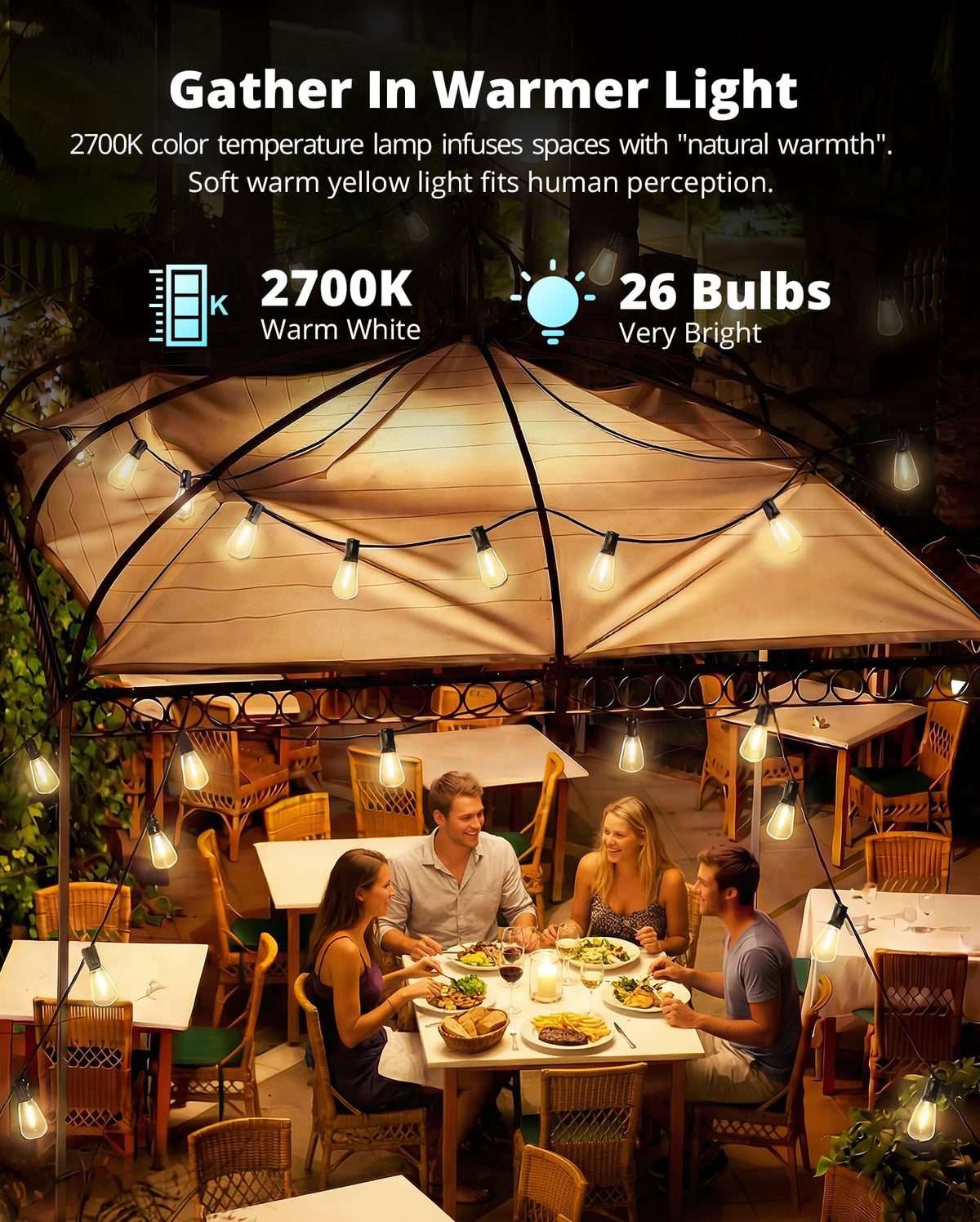 VIPAR Outdoor String Lights, 60FT, 28 ST38 Edison Bulbs, 2700K