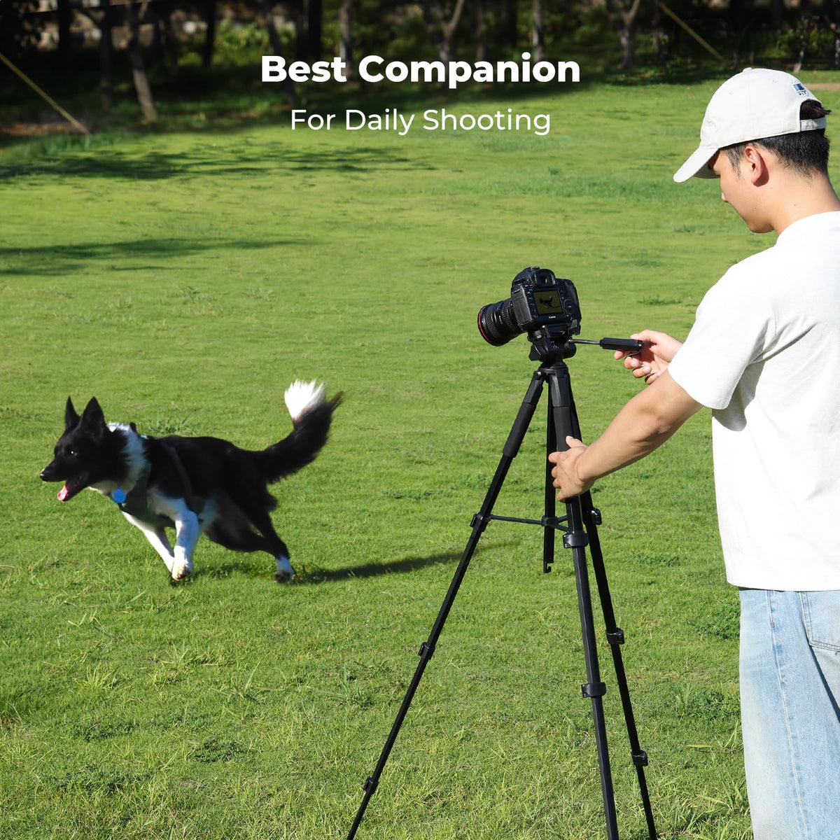 K&F CONCEPT 75" Lightweight Tripod with Remote & Phone Holder