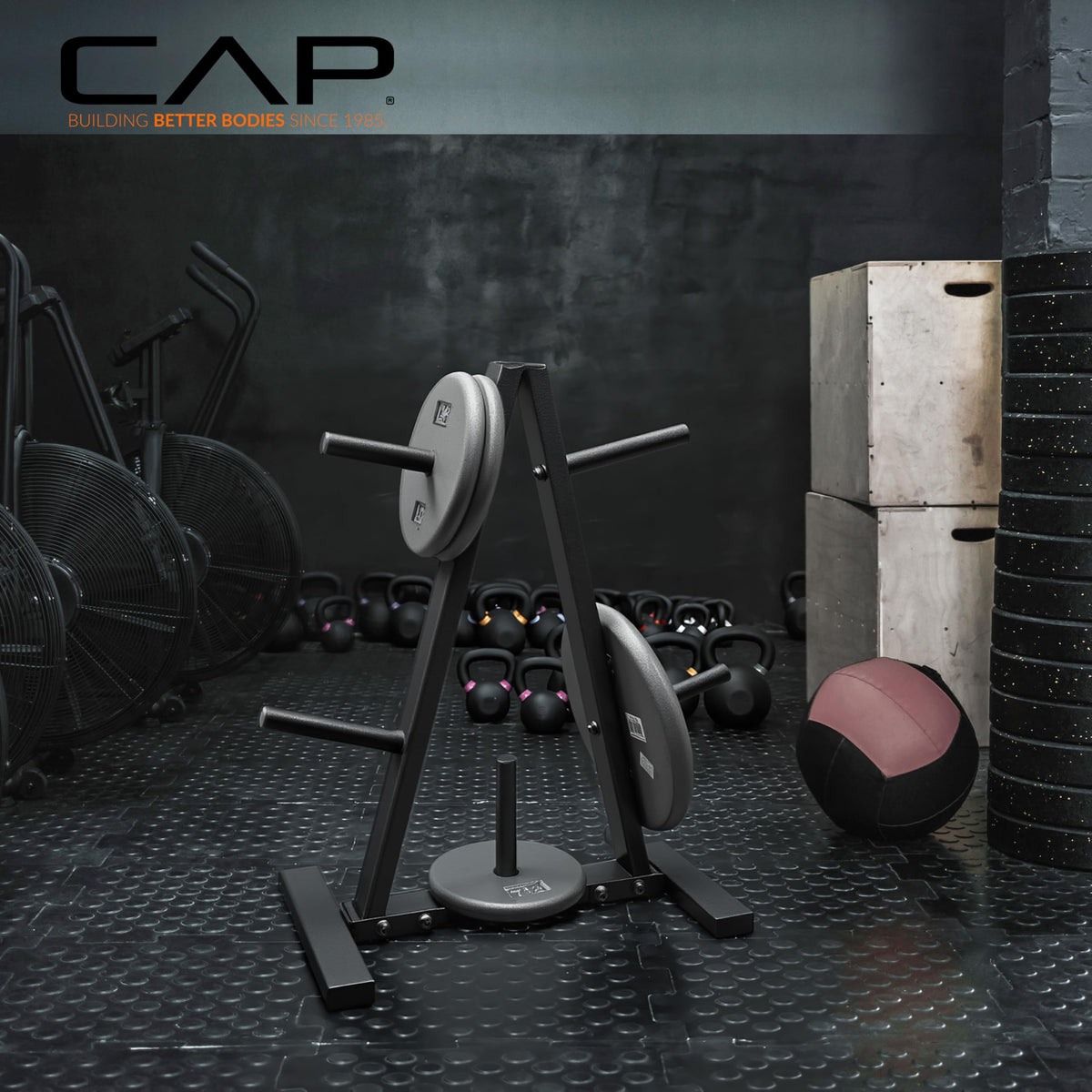 CAP Barbell 1-Inch Standard Weight Plate Rack, Black